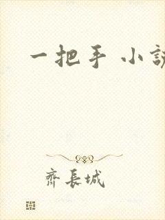 一把手 小说