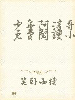 少年阿滨哥全文免费阅读小说封面