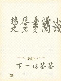 杨辰秦惜小说全文免费阅读完整版