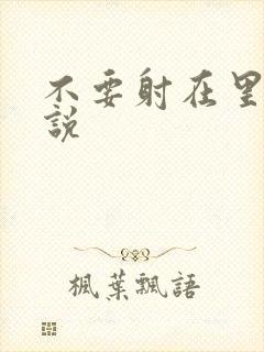 不要射在里面小说封面