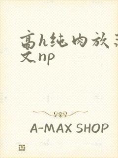 高h纯肉放荡h文np