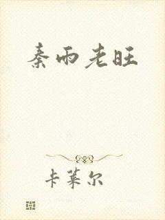 秦雨老旺封面