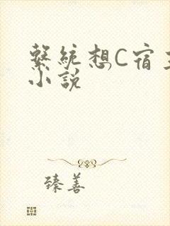 系统想C宿主的小说