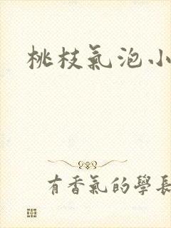 桃枝气泡小说封面