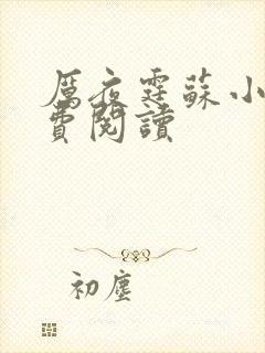 厉夜霆苏小汐免费阅读