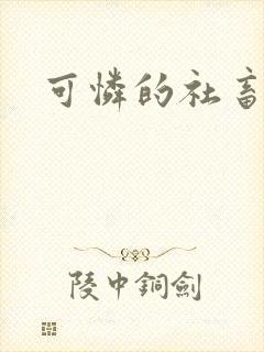 可怜的社畜封面