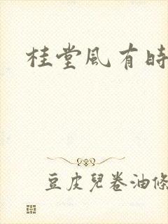 桂堂风有时封面