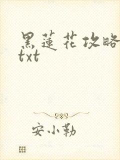 黑莲花攻略手册txt