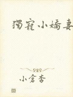 独宠小娇妻