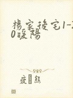 杨家后宅1-20暖阳