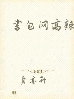书包网高辣文