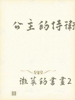 公主的侍卫封面