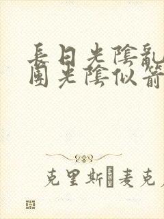 长日光阴乱作一团光阴似箭封面