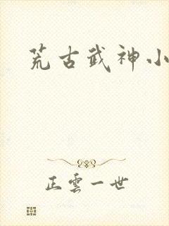 荒古武神小说