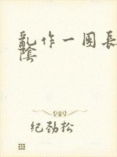 乱作一团长日光阴封面