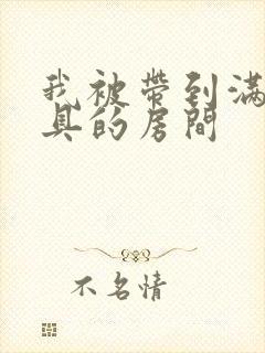 我被带到满是玩具的房间