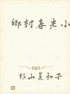 乡村春光小说