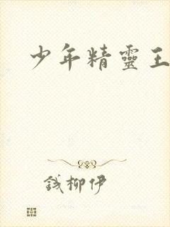 少年精灵王