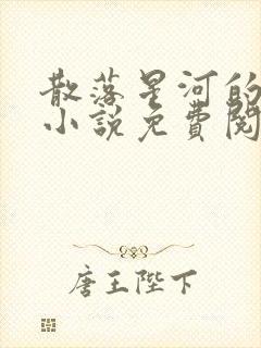 散落星河的记忆小说免费阅读全文封面