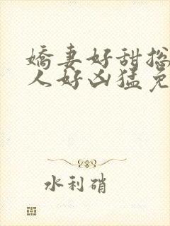 娇妻好甜总裁大人好凶猛免费小说