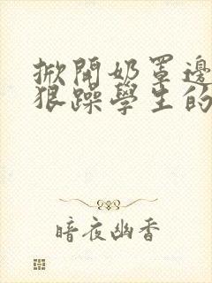 掀开奶罩边躁狠狠躁学生的小文字