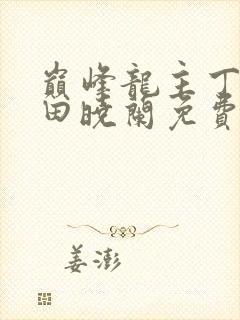 巅峰龙主丁长顺田晓兰免费阅读