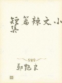 短篇辣文小说合集封面