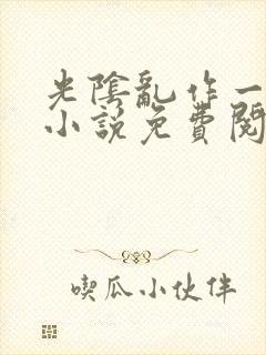 光阴乱作一团的小说免费阅读