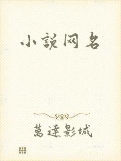 小说网名