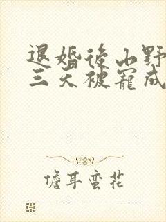 退婚后山野糙汉三天被宠成宝小说