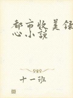 都市收美录宁素心小说