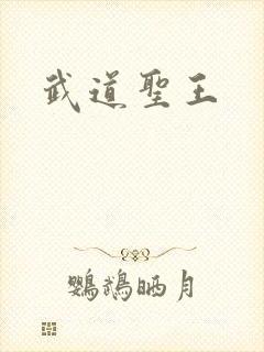 武道圣王