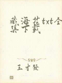 藏海花txt全集下载封面