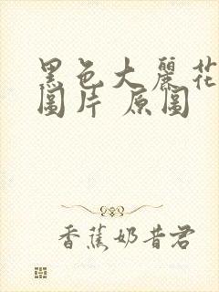 黑色大丽花真实图片 原图