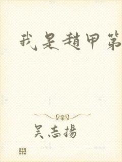 我是赵甲第小说