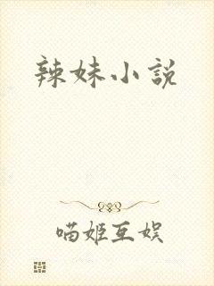 辣妹小说