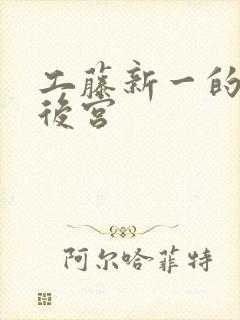 工藤新一的日本后宫