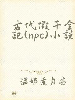 古代假千金挨日记(npc)小说