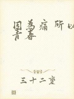 因为痛 所以叫青春