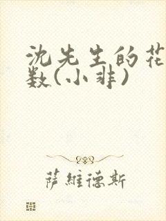 沈先生的花式调数(小非)