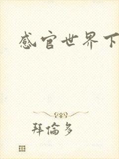 感官世界下载