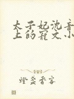 太子妃沈音和皇上的宠文小说