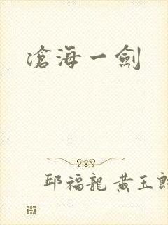 沧海一剑封面