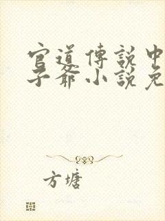 官道传说中的太子爷小说免费阅读