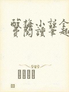 酸梅小说全文免费阅读笔趣阁