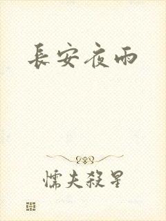 长安夜雨