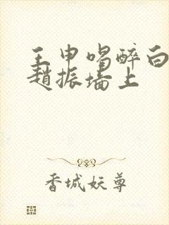 王申喝醉白洁被赵振墙上