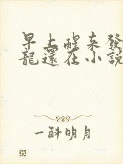 早上醒来发现巨龙还在小说