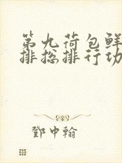 第九荷包鲜辣肉排总排行功能介绍封面