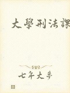 大学刑法课
